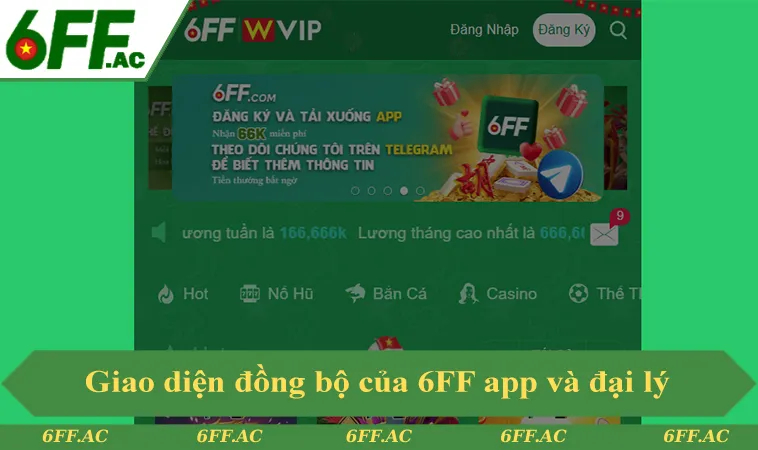 Giao diện đồng bộ giữa đại lý chính thức và 6FF app