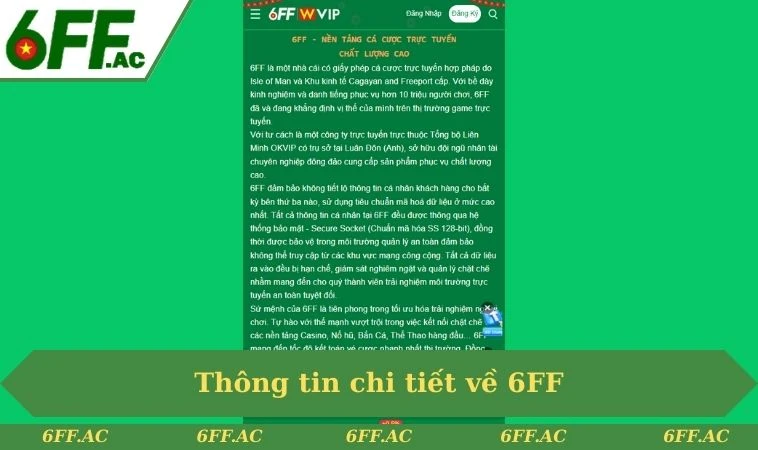Trang chủ 17 Thông tin chi tiết về 6FF