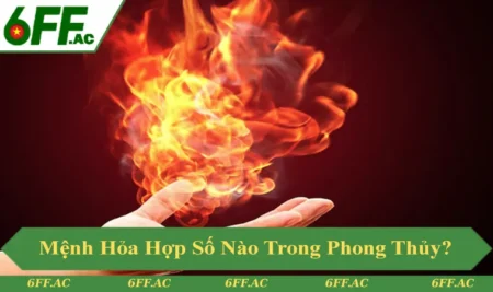 Mệnh Hỏa Hợp Số Nào? Gợi Ý Con Số Đẹp Năm 2025